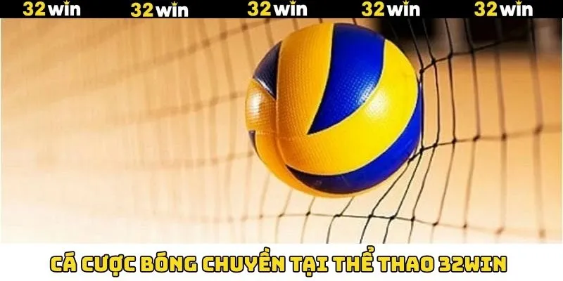Giải trí bóng chuyền online chuyên nghiệp Giải trí bóng chuyền online chuyên nghiệp