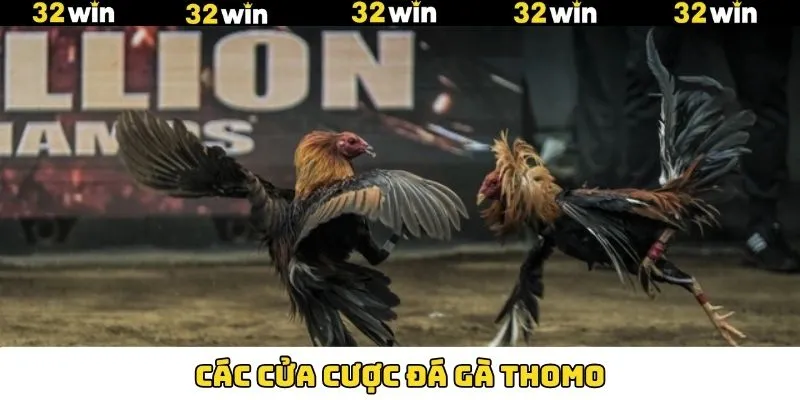 Đá Gà Thomo Là Gì? Trải Nghiệm Thế Giới Chọi Kê Đầy Hấp Dẫn 11 Nắm rõ các cửa cược đá gà Thomo phổ biến