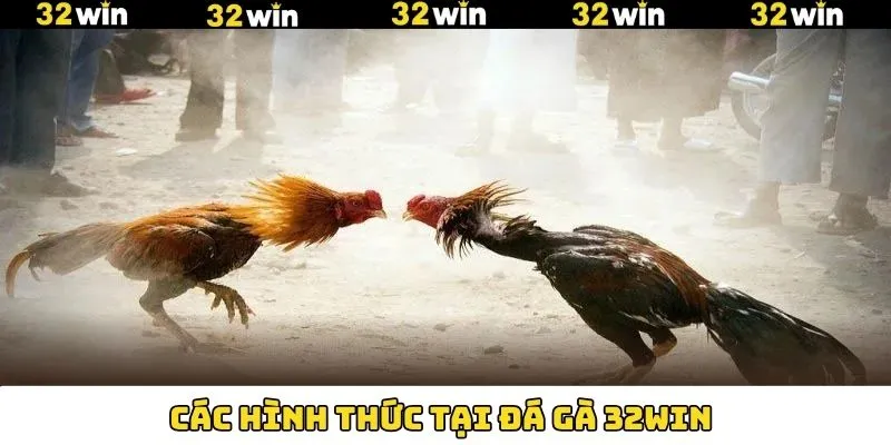 Tổng hợp các trò chơi đình đám trong đá gà 32Win Tổng hợp các trò chơi đình đám trong đá gà 32Win
