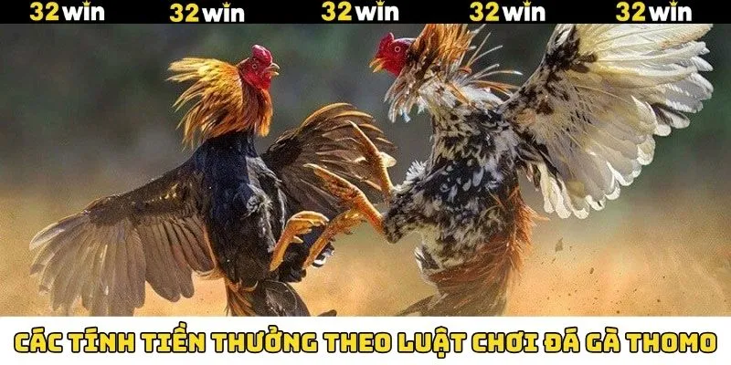 Khuyến Mãi Nạp Tiền - Tham Gia Nhận Thưởng Hấp Dẫn Tại 32Win 12 Nắm rõ cách tính tiền thưởng khi chọi kê Thomo