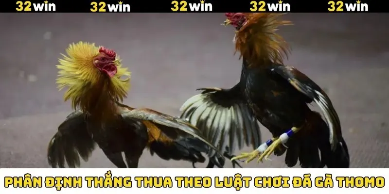 Khuyến Mãi Nạp Tiền - Tham Gia Nhận Thưởng Hấp Dẫn Tại 32Win 11 Luật chơi đá gà thomo về cơ chế phân định thắng thua