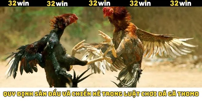 Khuyến Mãi Nạp Tiền - Tham Gia Nhận Thưởng Hấp Dẫn Tại 32Win 10 Nắm rõ các quy định về sân đấu chọi kê Thomo