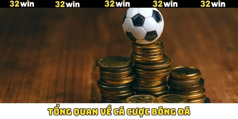 Sức hút đỉnh cao của bộ môn bóng đá Sức hút đỉnh cao của bộ môn bóng đá